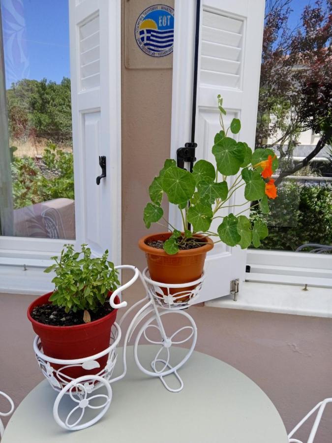 Andros Lighthouse Apartments Mesaria  ภายนอก รูปภาพ