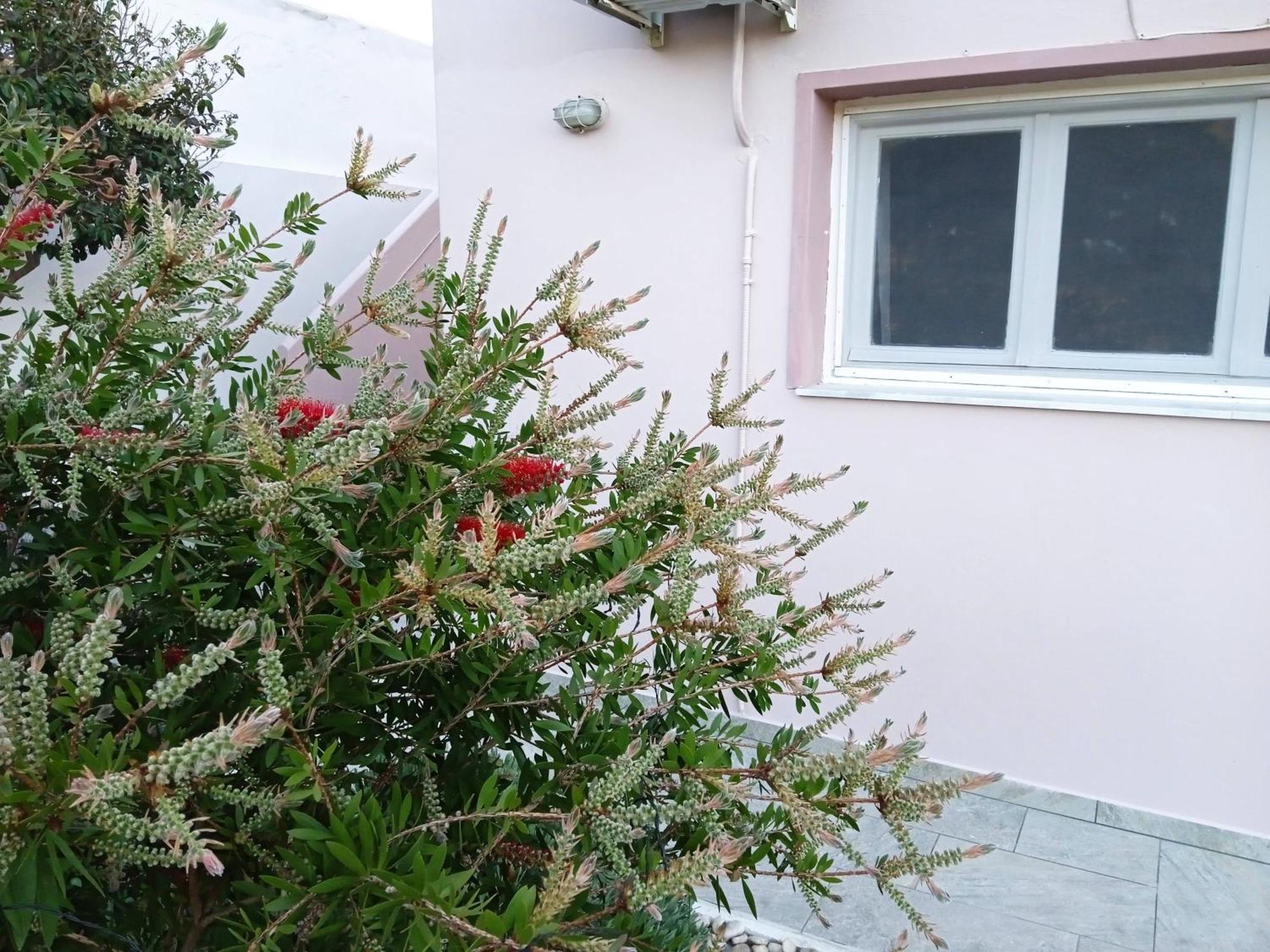 Andros Lighthouse Apartments Mesaria  ภายนอก รูปภาพ